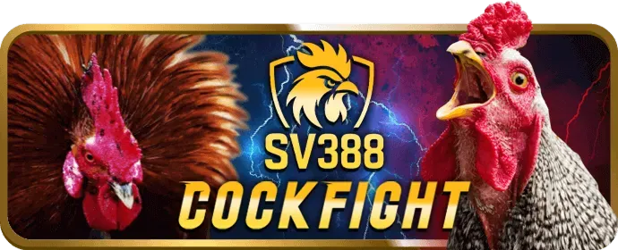Hoàn trả cược đá gà cao LVS788